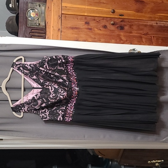 Roaman's Dresses & Skirts - Roaman's Womens Dress Black/Dusty Rose Paisley Lace Sheer Lined Party Sz 22W EUC